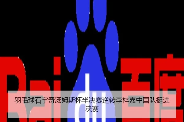 yu-mao-qiu-shi-yu-qi-tang-mu-si-bei-ban-jue-sai-ni-zhuan-li-zi-jia-zhong-guo-dui-ting-jin-jue-sai-2-495.jpg